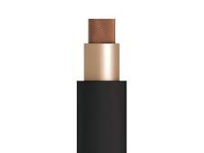 7707a4_760d5a49f1164f2f8741ce2a23571528~mv2