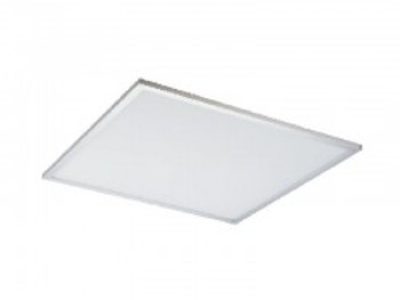 7707a4_80181b6cffe149659d4e2271654be211~mv2