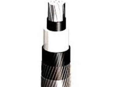 7707a4_d8abfade1f494c72b90ab4db6fadbaee~mv2