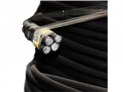 7707a4_fd4facd1e2f94964af4538f660b38c00~mv2