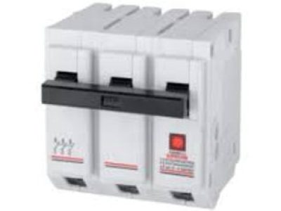 7707a4_ff662f3411f649538a14f1f3fca86b1b~mv2